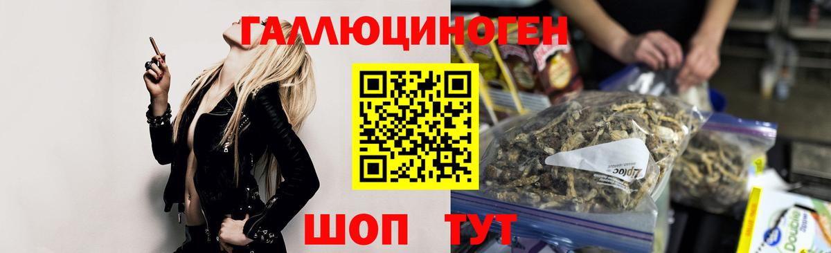 Псилоцибиновые грибы Psilocybe  Псилоцибиновые грибы Cubensis  купить наркотики сайты  Новоалександровск  Вход с VPN 
